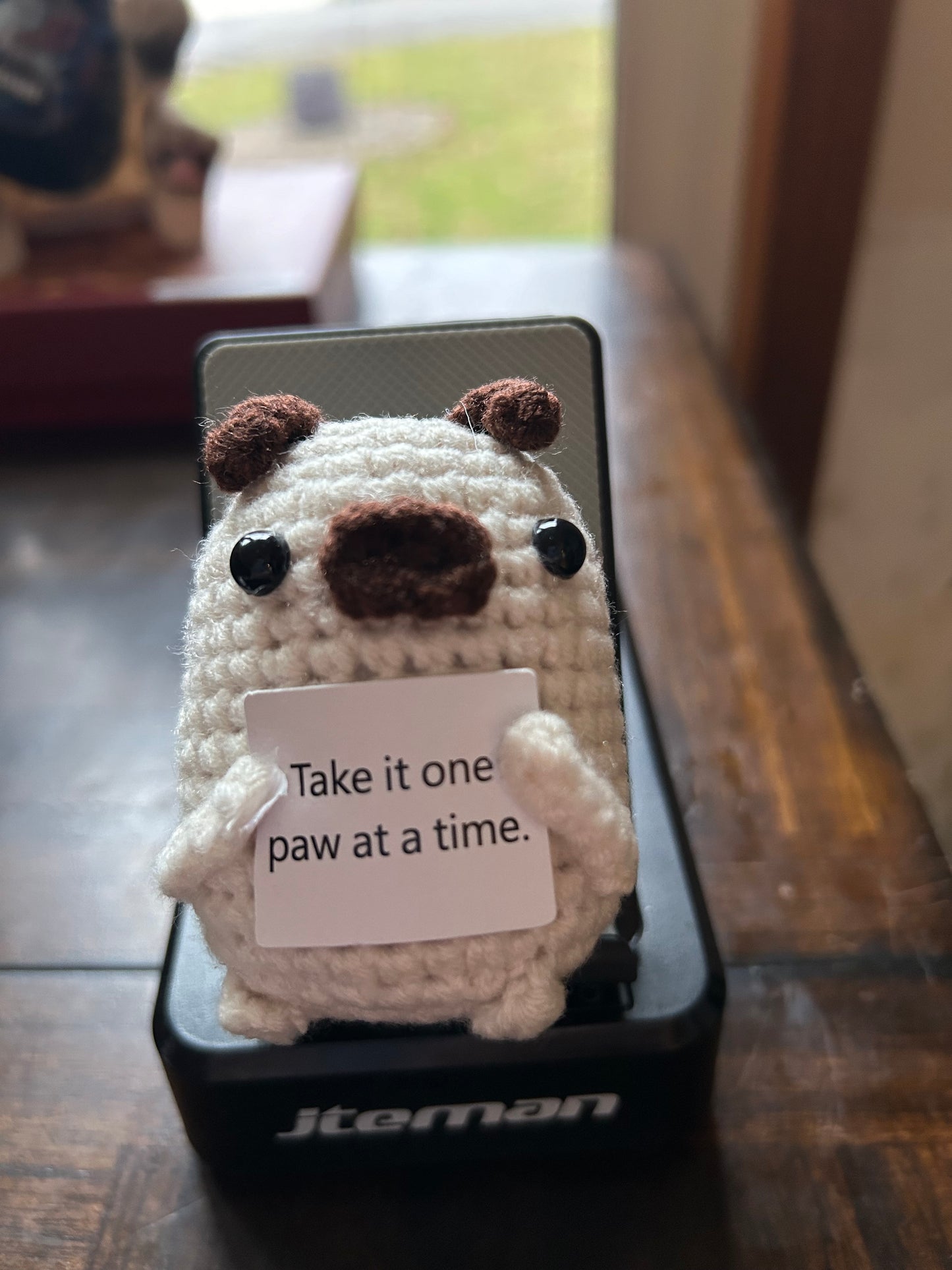 Take it one paw at a time- Positive Pug