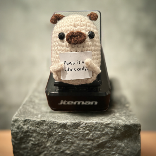 Paws-itive Vibes only- Positive Pug