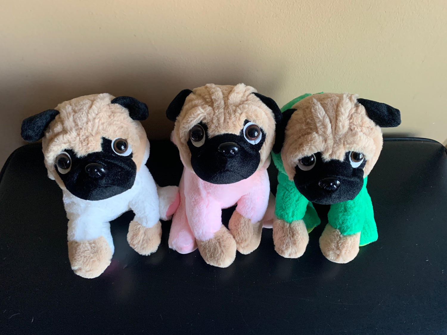 Pugs