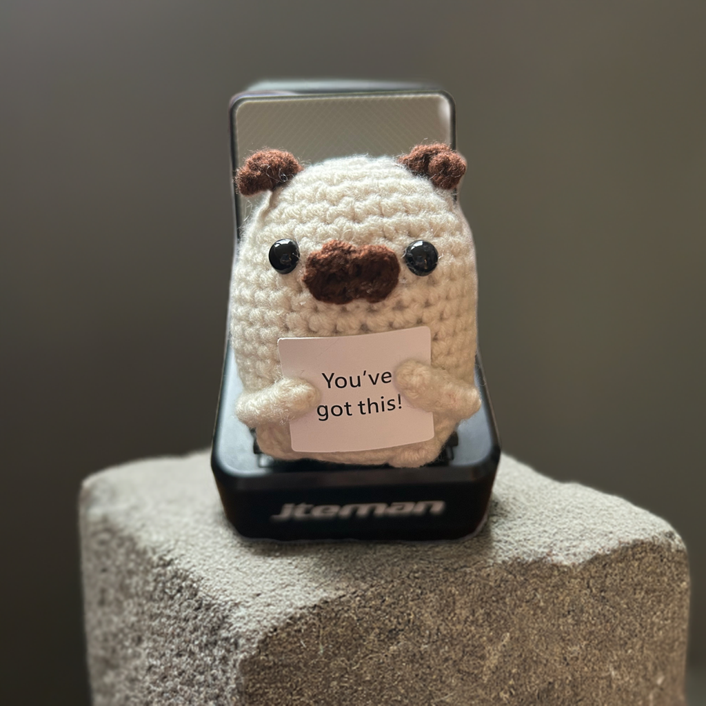 You've Got This Positive Pug