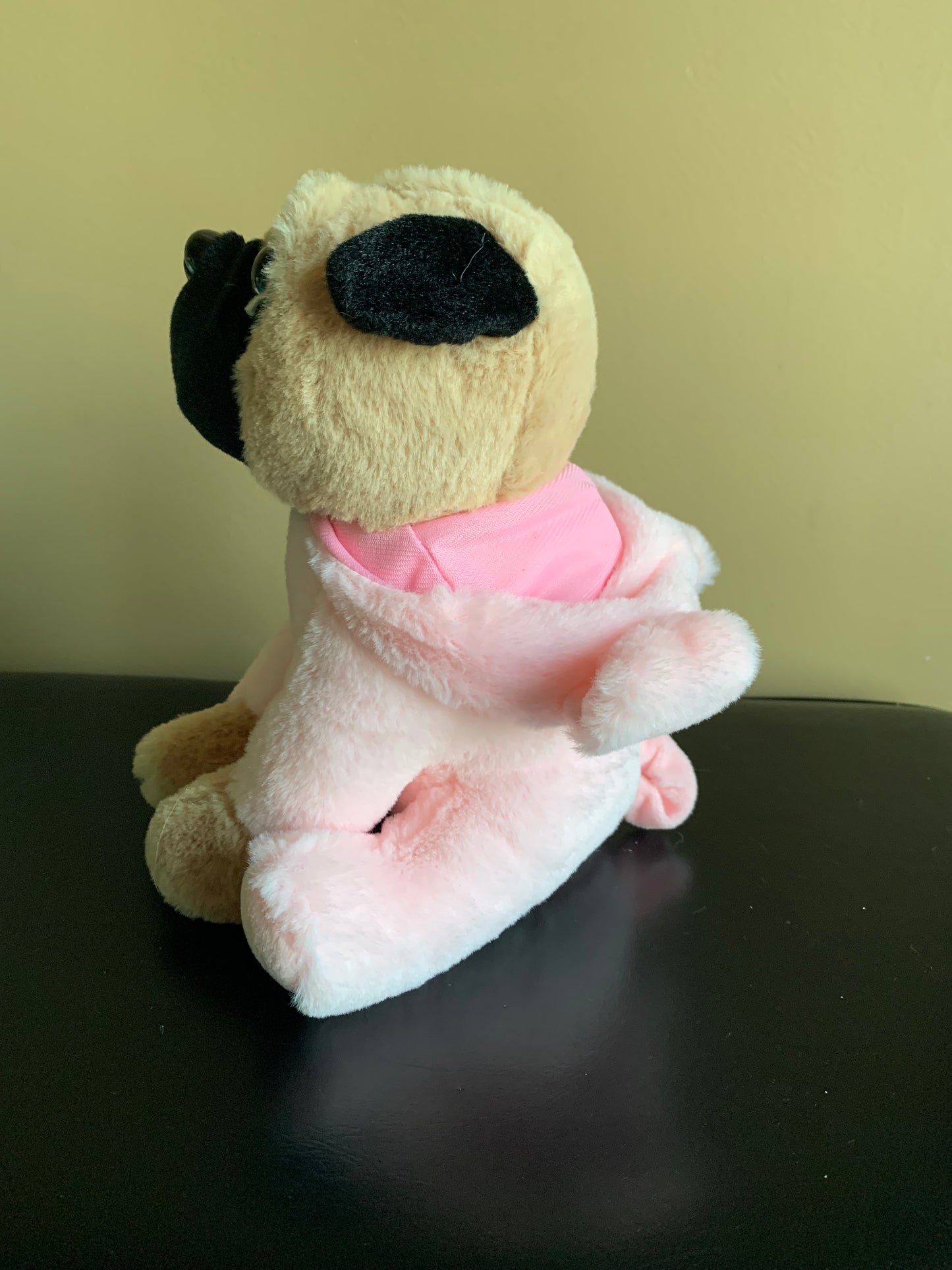 Piggy Pug